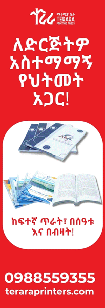 Terara Printers Home SB p4